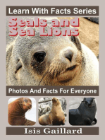 Seals and Sea Lions Photos and Facts for Everyone