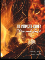 The Unexpected Journey: Fire and Gold