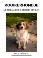 Nederlandse Kooikerhondje