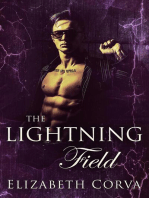 The Lightning Field