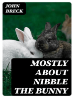 Mostly About Nibble the Bunny