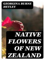 Native Flowers of New Zealand