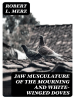 Jaw Musculature of the Mourning and White-winged Doves