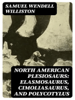 North American Plesiosaurs: Elasmosaurus, Cimoliasaurus, and Polycotylus