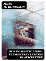 Our Domestic Birds: Elementary Lessons in Aviculture