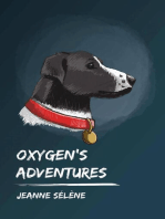 Oxygen's Adventures
