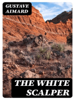 The White Scalper: A Story of the Texan War