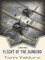 Flight of the Sunbird