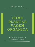 Como Plantar Vagem Orgânica