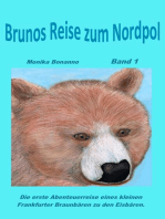 Brunos Reise zum Nordpol