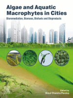 Algae and Aquatic Macrophytes in Cities: Bioremediation, Biomass, Biofuels and Bioproducts