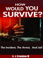 How Would You Survive? The Incident, the Arrest, and Jail
