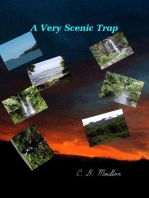 A Very Scenic Trap