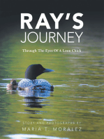 Ray’s Journey: Through the Eyes of a Loon Chick