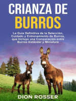 Crianza de Burros: La Guía Definitiva de la Selección, Cuidado y Entrenamiento de Burros, que Incluye una Comparación entre Burros Estándar y Miniatura