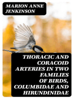 Thoracic and Coracoid Arteries In Two Families of Birds, Columbidae and Hirundinidae