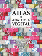 Atlas de anatomía vegetal