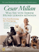 Was Sie von Ihrem Hund lernen können: Von Anerkennung bis Zuneigung