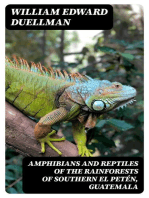 Amphibians and Reptiles of the Rainforests of Southern El Petén, Guatemala