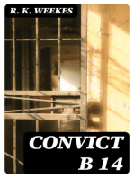Convict B 14: A Novel
