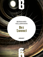 Der Tunnel: Roman