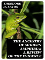 The Ancestry of Modern Amphibia