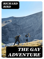 The Gay Adventure