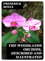 The Woodlands Orchids, Described and Illustrated