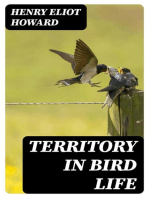 Territory in Bird Life