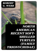 North American Recent Soft-Shelled Turtles (Family Trionychidae)