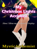My Christmas Lights Accident