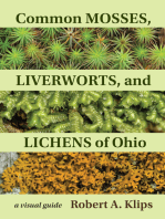 Common Mosses, Liverworts, and Lichens of Ohio