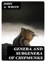 Genera and Subgenera of Chipmunks