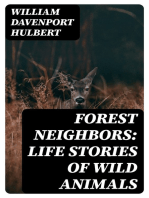 Forest Neighbors