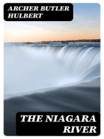 The Niagara River