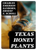 Texas Honey Plants