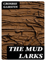 The Mud Larks