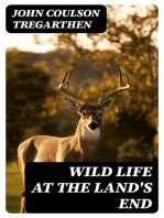 Wild Life at the Land's End