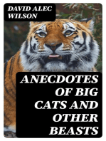 Anecdotes of Big Cats and Other Beasts