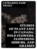 Studies of Plant Life in Canada