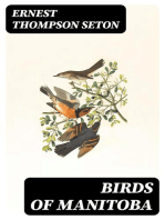 Birds of Manitoba