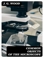 Common Objects of the Microscope