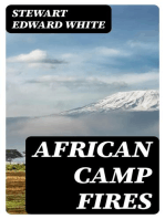 African Camp Fires