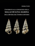 Contributo alla conoscenza della Malacofauna Marina della Riviera del Conero e dintorni