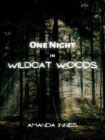 One Night In Wildcat Woods
