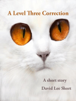 A Level-Three Correction