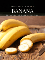 Tecnologias Para Cultivo Da Bananeira