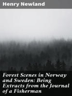 Forest Scenes in Norway and Sweden