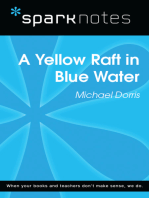Yellow Raft in Blue Water (SparkNotes Literature Guide)