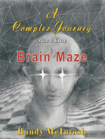 A Complex Journey - Brain Maze